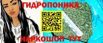 стафф Гулькевичи