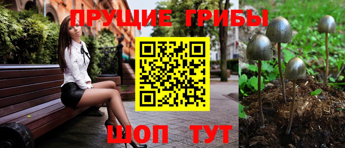 Псилоцибиновые грибы GOLDEN TEACHER  купить наркотики сайты  Галлюциногенные грибы Psilocybine cubensis  Губкинский  Вход с VPN 