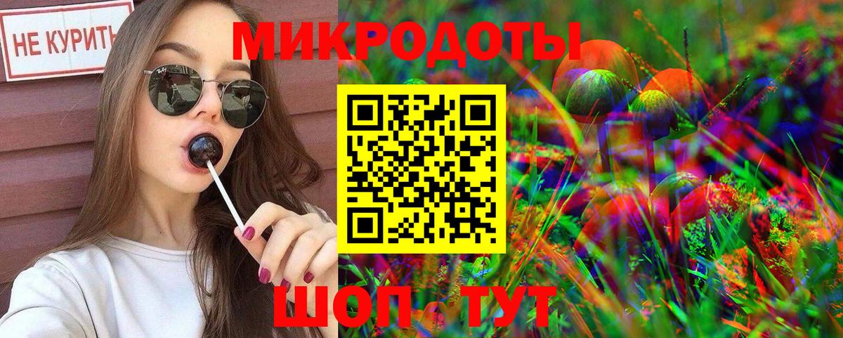 Псилоцибиновые грибы Cubensis Губкинский